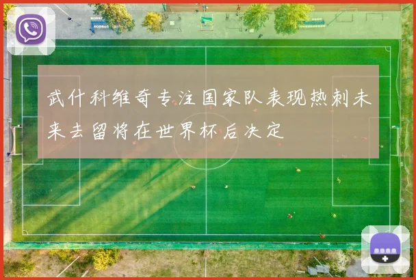 武什科维奇专注国家队表现热刺未来去留将在世界杯后决定