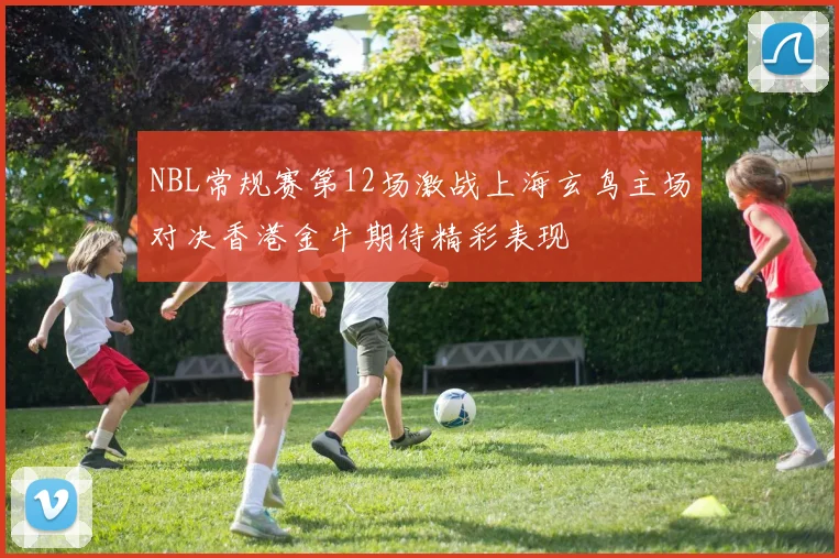 NBL常规赛第12场激战上海玄鸟主场对决香港金牛期待精彩表现